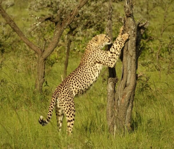 mwanzo tours Uganda