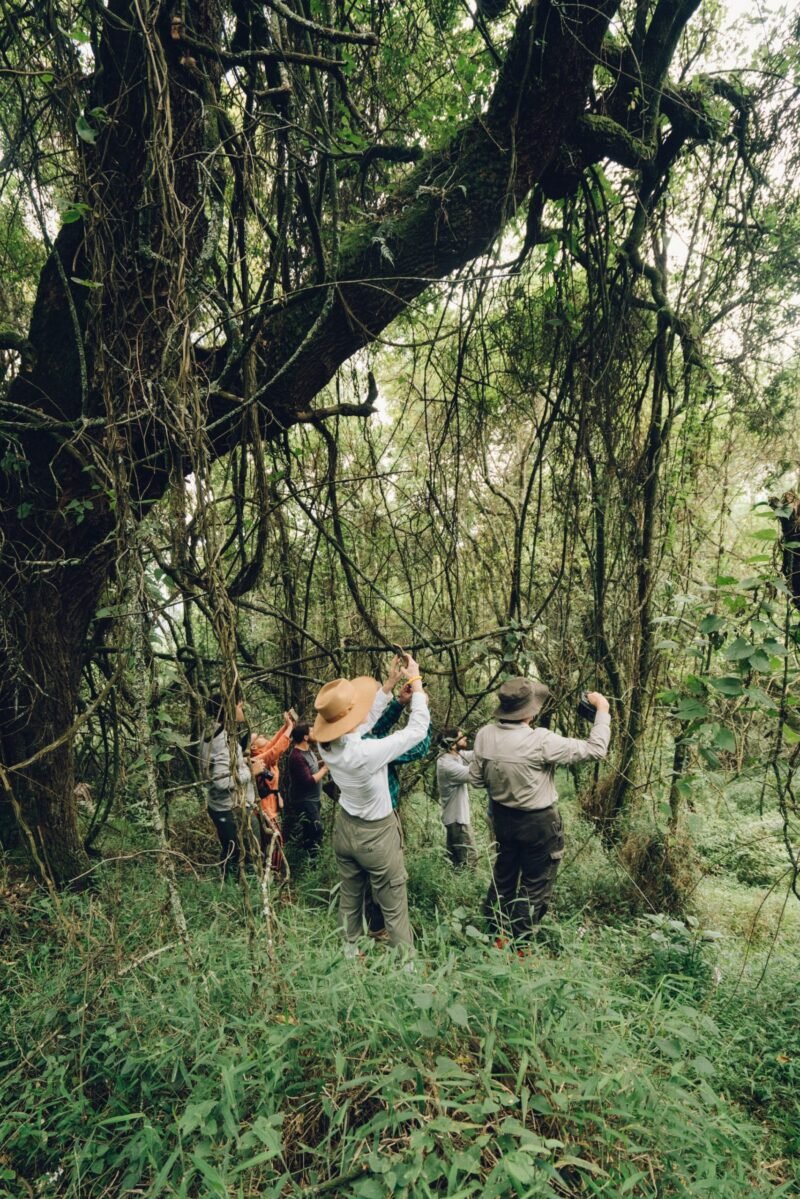 NYUNGWE TOUR