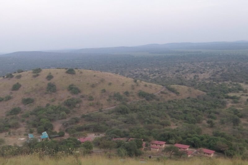 Murchison Falls Safari Uganda