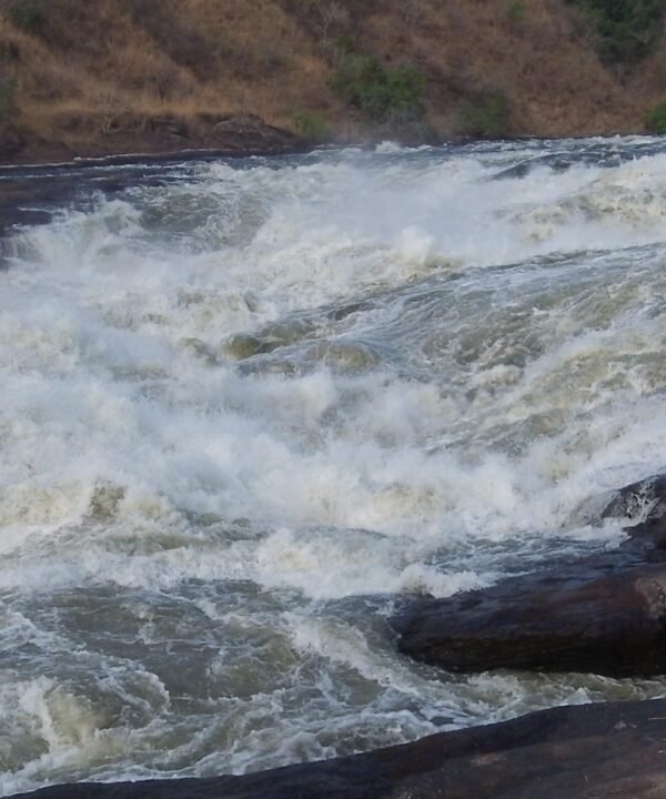 Murchison Falls Safari Uganda