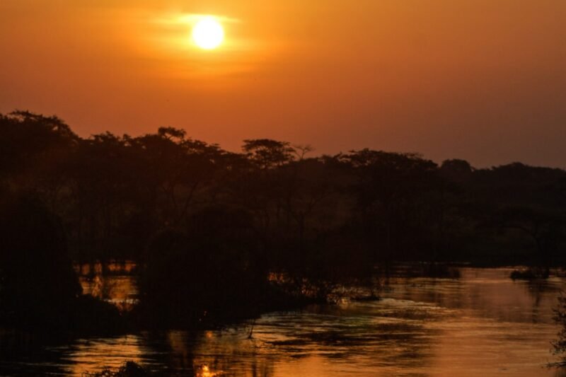 Safari in Uganda & Safari Holiday