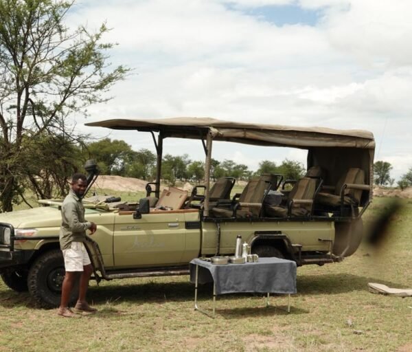 Serengeti
