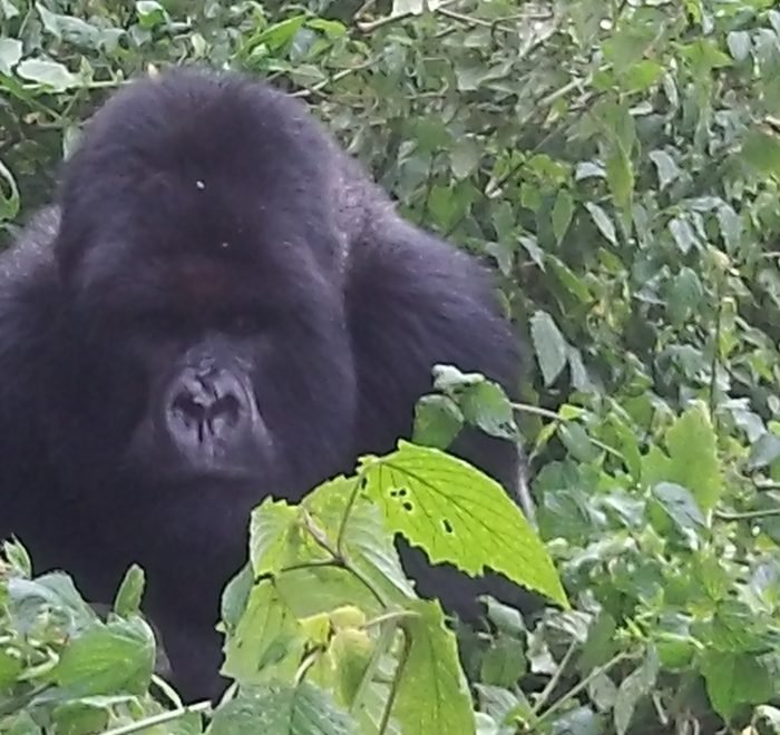 mwanzo tours Uganda